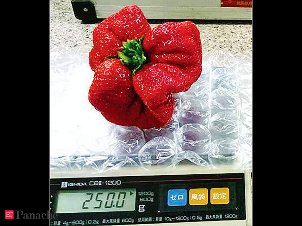 Japanese Strawberry Weighing 250 Gm Is World S Heaviest The Economic Times