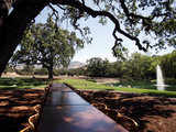 Banquet table stretches out under tree