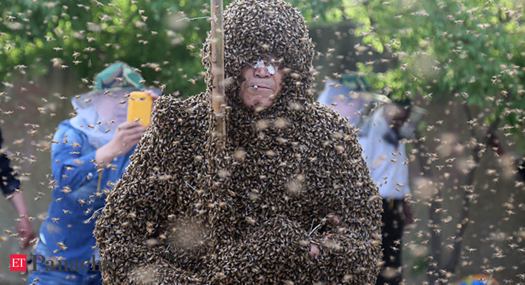 Man Covered In 11 Million Bees Sets Guinness World Record The Economic Times