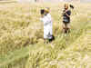 Cabinet recommends re-promulgation of land ordinance