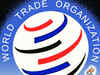 India's import framework remains complex: WTO