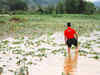 Shocker! Flood-hit Jammu farmers get Rs 32 as compensation