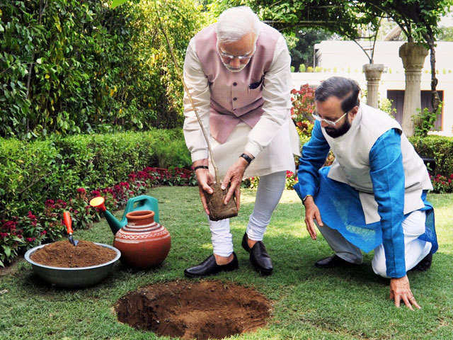 PM  Modi planting  Kadamb sapling