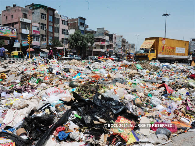 Delhi's garbage mess rings alarm bell for health crisis