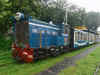 Darjeeling-NJP toy train service resumes after 5 years