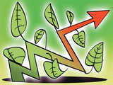 DFPCL targets Rs 1,000 crore revenue from farm business in 5 yrs