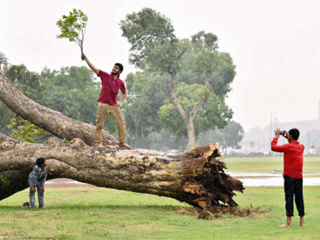 People enjoy with a fallen tree
