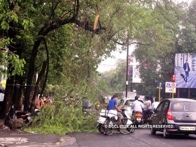 A tree collapsed near Alankar Square