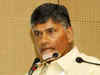 Animal husbandry can provide jobs to one crore people: Andhra Pradesh CM N Chandrababu Naidu