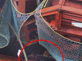 DMRC empolyee body stuck in bridge