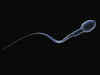 Try these tips to increase your sperm count