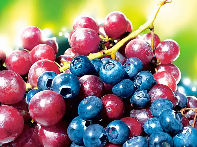 Eating grapes, berries daily can prevent weight gain The Economic Times