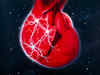 Heartbeat on a chip to improve testing of cardiovascular drugs