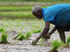 Despite lean monsoon forecast, above average rainfall to help farm output