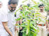 Ten crore saplings to be planted across Chattisgarh in monsoon