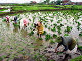 Impact of rains on India's economy