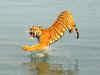 Zoological Survey of India monitoring climate change impact on Sundarban animals