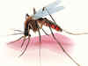 Lady Hardinge Medical College, other hospitals gear up to tackle dengue