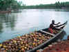 Stop import of coconut Oil: Kerala writes to Modi government