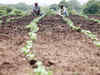 Maharashtra to go for cloud seeding amid worries of scanty rainfall