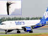 Onward journey of damaged GoAir aircraft to Port Blair remains cancelled