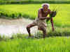Half of rural India still doesn't own agricultural land: SECC 2011