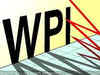 WPI inflation stays negative for eighth month