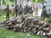 Huge quantity of red sandalwood worth several crores seized from north Bengal village
