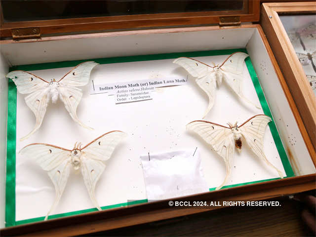 More than 75,000 specimens of 5,000 species