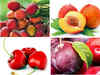 Fruits to eat in the monsoon