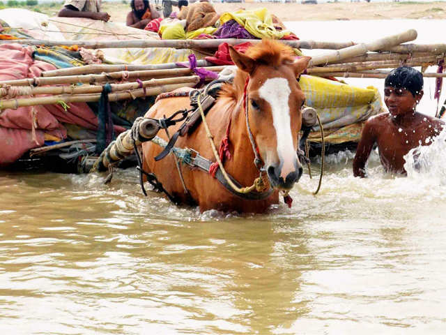 Horse-cart moves through flood