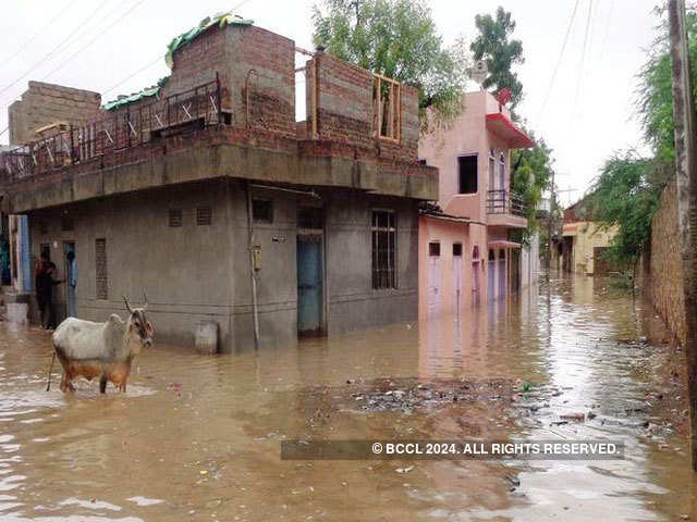 Mount Abu recorded the maximum rainfall of 45 cm