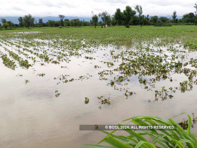 Heavy to very heavy rainfall lashes the state