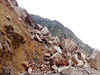 Landslides kill 25 people in Nepal