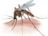 P.vivax strain of malaria poses new lethal threat to India, says WHO