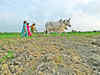 Hope for Marathwada: Private companies seed rains in Maharashtra's parched lands