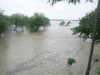 31 per cent more rains this monsoon season in Rajasthan