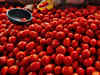 Tomato prices crash in wholesale markets amid good production