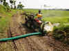 Drought-hit Andhra Pradesh farmers spray crops with banned animal hormone 'oxytocin'