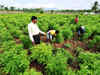 CPI-M to promote organic farm practice in Kerala