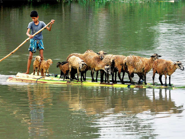 Villages submerged in flood water