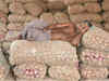 Onion prices fall as supplies arrive from Maharashtra, Andhra Pradesh & Karnataka