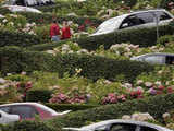 Lombard Street in San Francisco