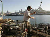 Crab fisherman loads crab pots onto a fishing vessel