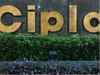 Cipla settles in negative zone erasing early gains