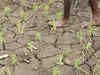 'Legal step needed to provide water to perennially drought-hit Rayalaseema'