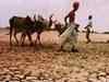 Monsoon deficit widens, drought looms: Expert views