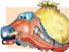 Railways slashes iron ore freight rates to boost exports
