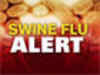Swine flu scare spreading fast in India