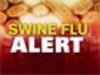 Low-key festivals in flu season